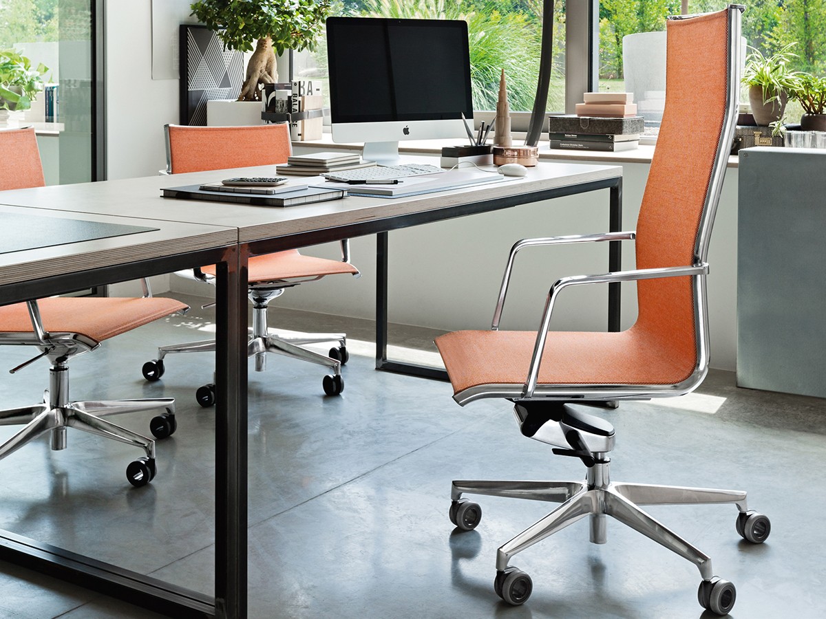 ������ ��� ������������ Olite - ���� 4