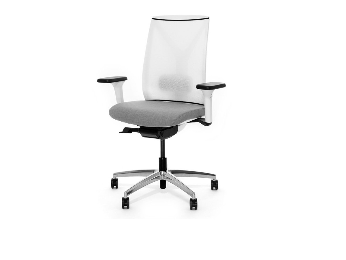 Dion Mesh